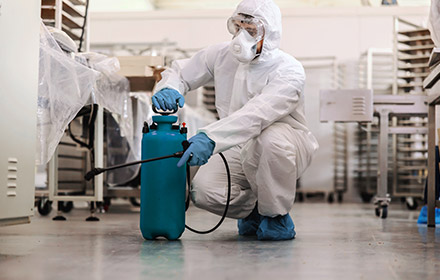 desinsectacion-ab-control-plagas